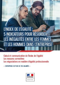 index de lgalit femmes hommes dans lentreprise